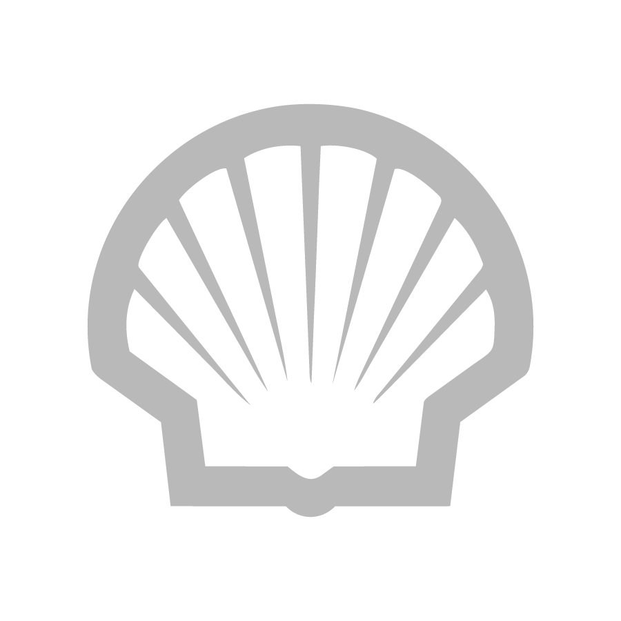 A simple gray outline of a scallop shell with radiating lines, displayed on a light gray background.